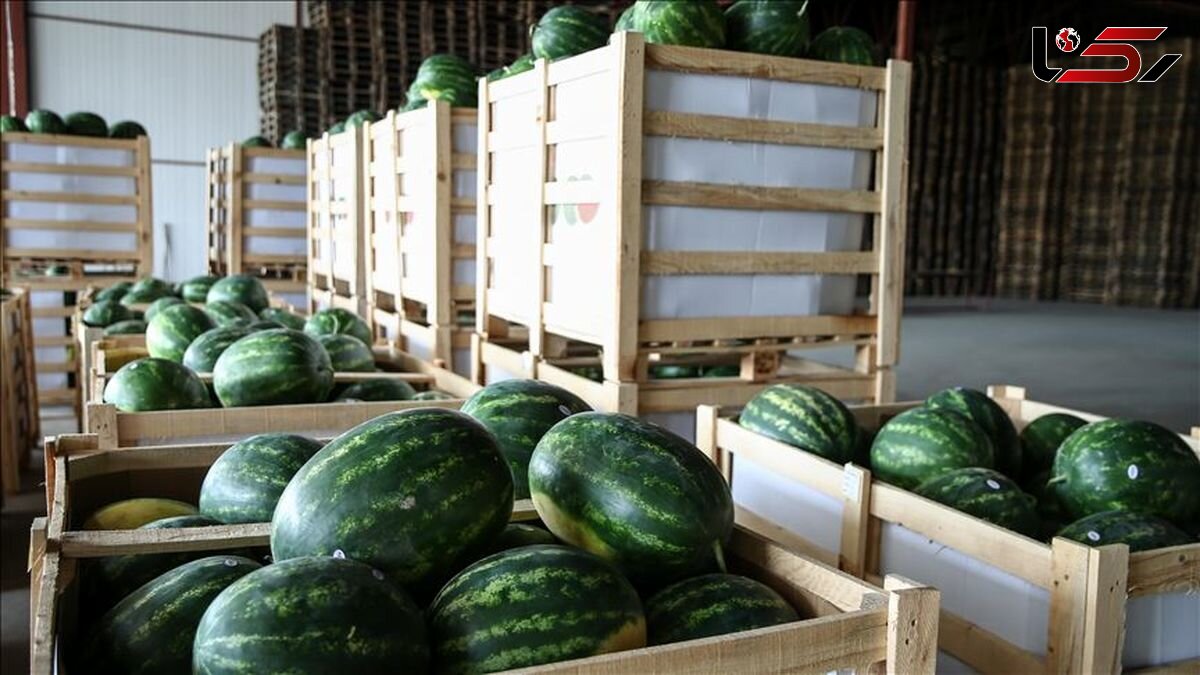 وقتی خشکسالی رکورد میشکند و اصرار بر خودکفایی