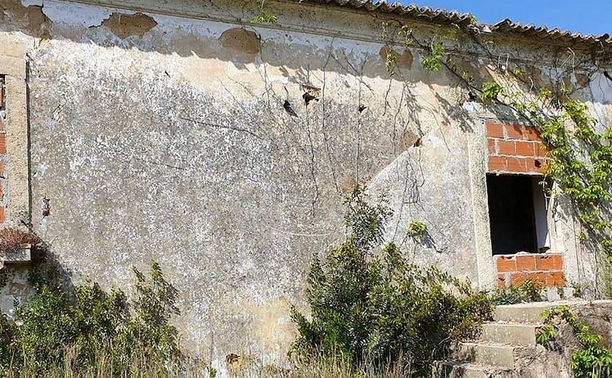 هنر خیابانی؛ شاهکار خلاقانه هنرمند پرتغالی «با رنگ»