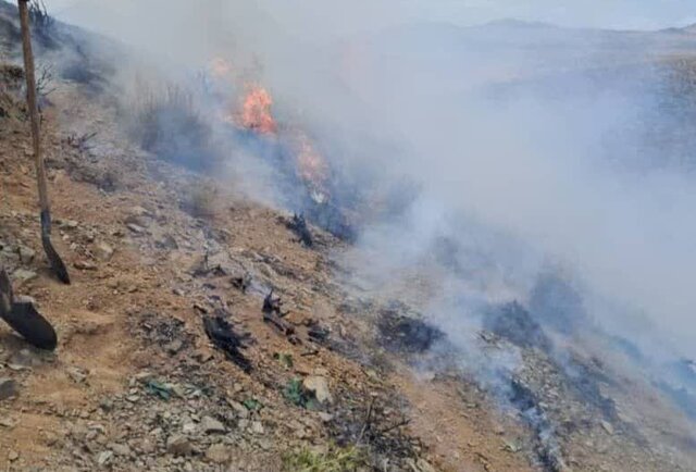آتشسوزی مراتع جنوب غرب شیراز مهار شد