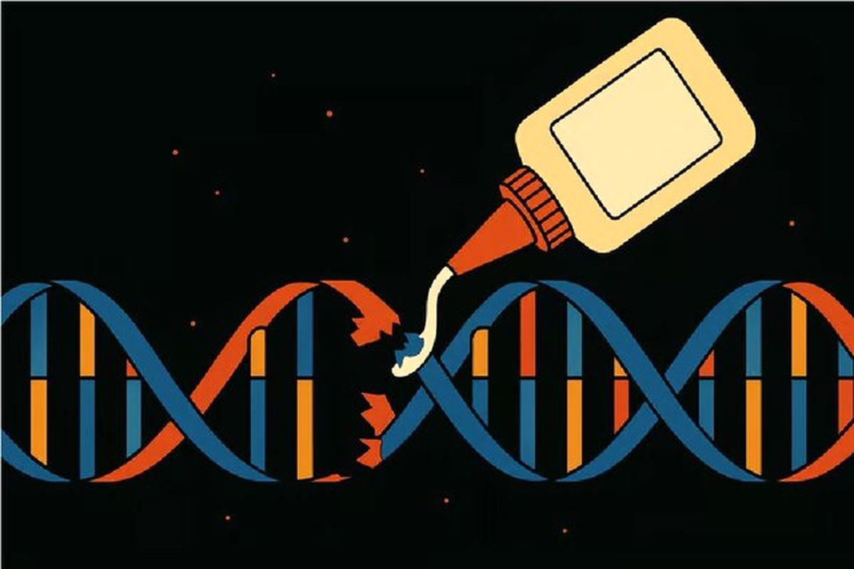 دانشمند ایرانی چسب ضد پیری مغز ساخت