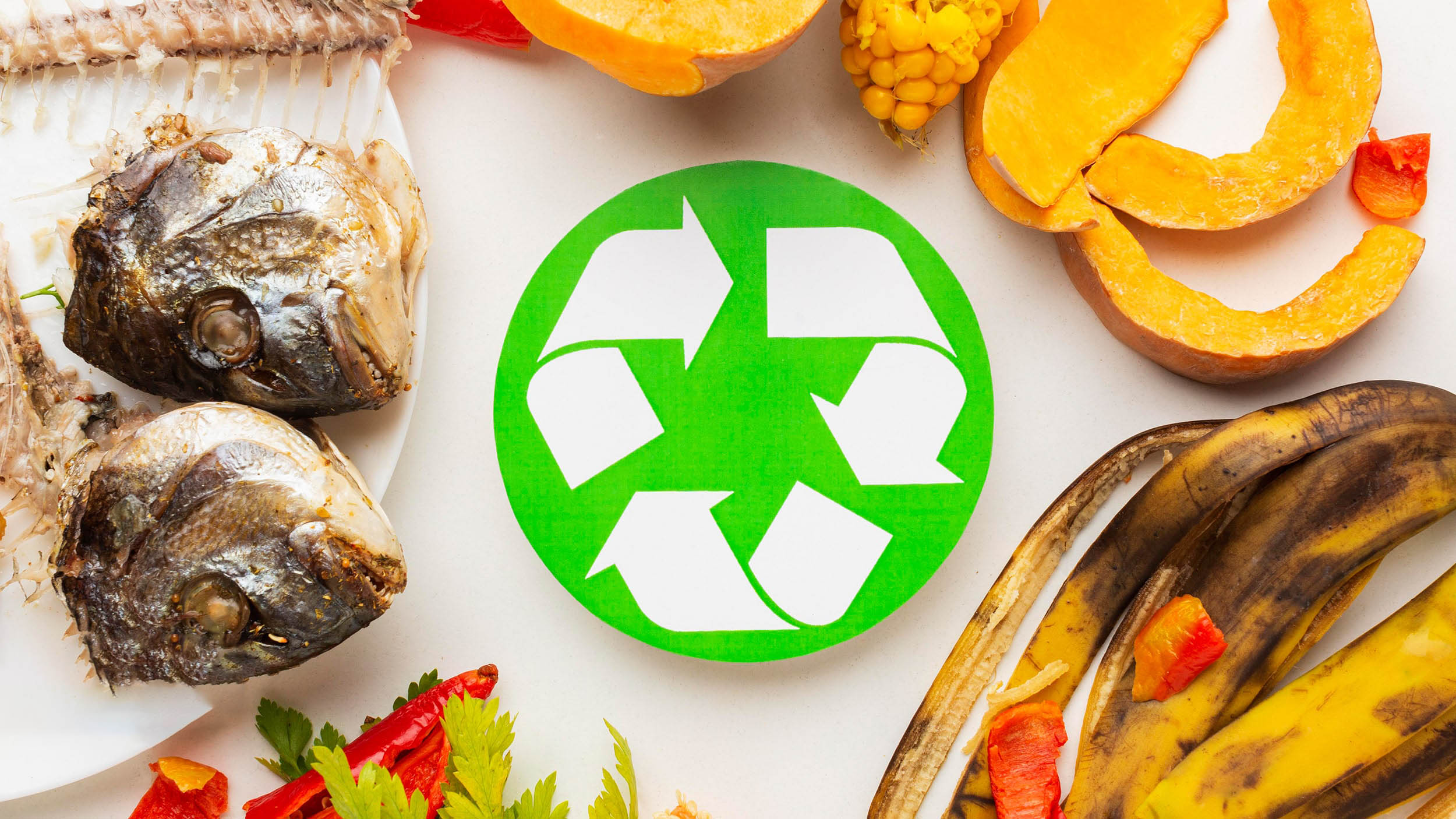 تدوین و اجرای برنامه های غذایی منظم در جهت کاهش دور ریز مواد غذایی